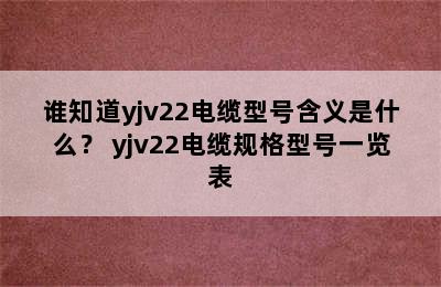 谁知道yjv22电缆型号含义是什么？ yjv22电缆规格型号一览表